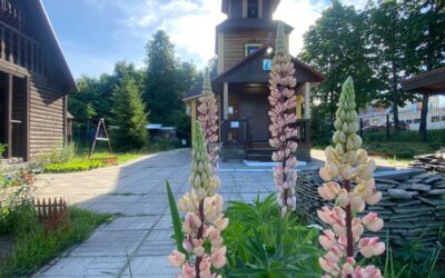 Сегодня, в Неделю 7-ю по Пасхе, в нашем храме была совершена божественная Литургия.