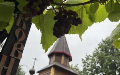Ближайшие службы в нашем храме.